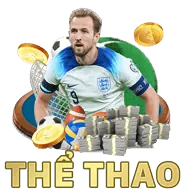 Báo cáo và phân tích chi tiết